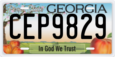 GA license plate CEP9829