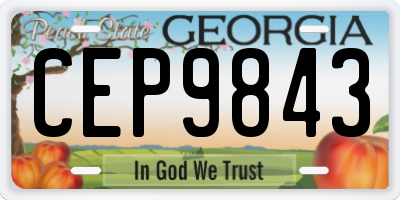 GA license plate CEP9843