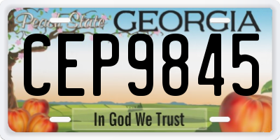 GA license plate CEP9845