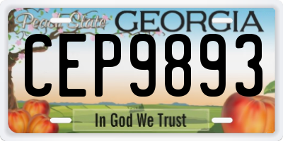GA license plate CEP9893