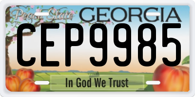 GA license plate CEP9985