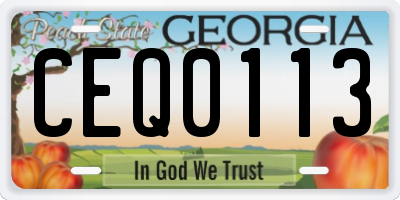 GA license plate CEQ0113