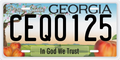 GA license plate CEQ0125