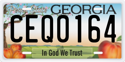 GA license plate CEQ0164