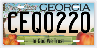 GA license plate CEQ0220