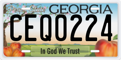 GA license plate CEQ0224