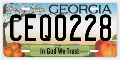 GA license plate CEQ0228