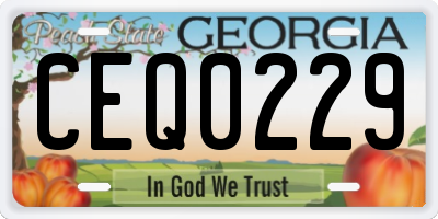 GA license plate CEQ0229