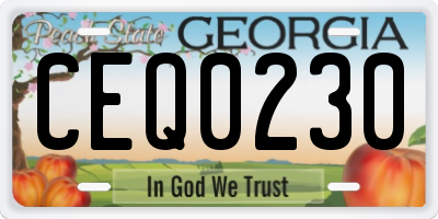 GA license plate CEQ0230