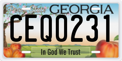 GA license plate CEQ0231