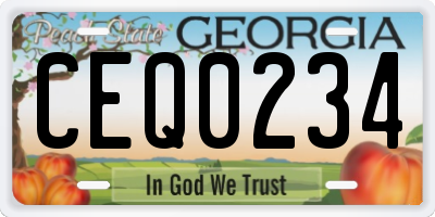 GA license plate CEQ0234