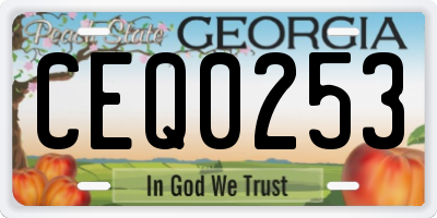 GA license plate CEQ0253