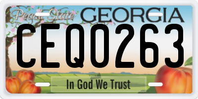 GA license plate CEQ0263