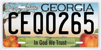 GA license plate CEQ0265