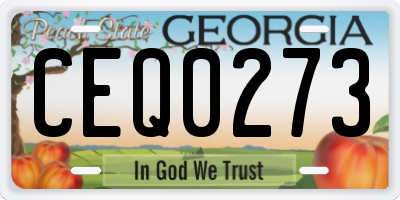 GA license plate CEQ0273