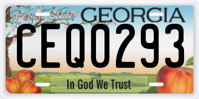 GA license plate CEQ0293