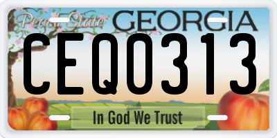 GA license plate CEQ0313