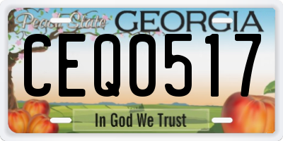 GA license plate CEQ0517
