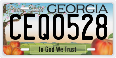 GA license plate CEQ0528