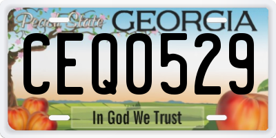 GA license plate CEQ0529