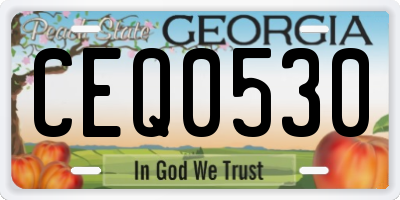 GA license plate CEQ0530