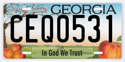GA license plate CEQ0531
