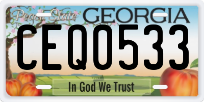 GA license plate CEQ0533