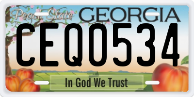 GA license plate CEQ0534
