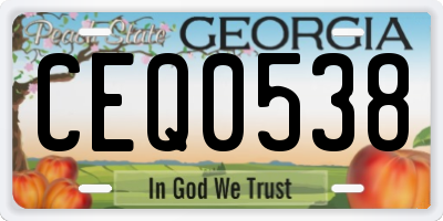 GA license plate CEQ0538