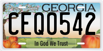 GA license plate CEQ0542