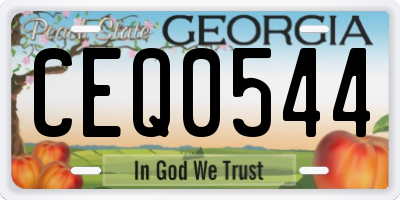 GA license plate CEQ0544