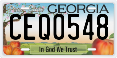 GA license plate CEQ0548