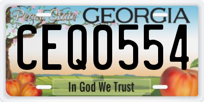 GA license plate CEQ0554