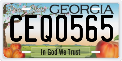 GA license plate CEQ0565