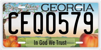 GA license plate CEQ0579