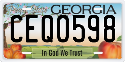 GA license plate CEQ0598