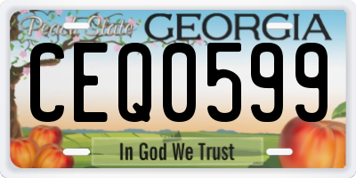 GA license plate CEQ0599