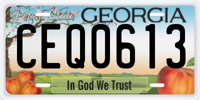 GA license plate CEQ0613
