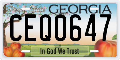 GA license plate CEQ0647