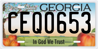 GA license plate CEQ0653