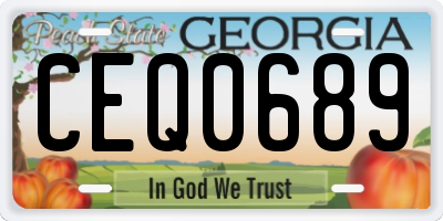 GA license plate CEQ0689