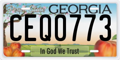 GA license plate CEQ0773