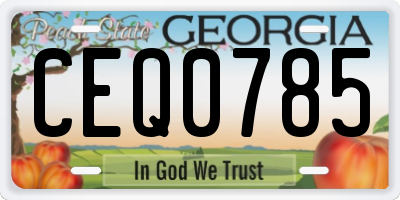 GA license plate CEQ0785