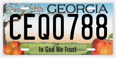 GA license plate CEQ0788