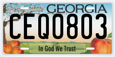 GA license plate CEQ0803