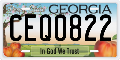 GA license plate CEQ0822