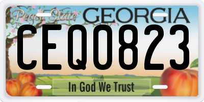 GA license plate CEQ0823