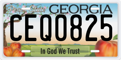 GA license plate CEQ0825