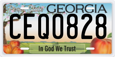 GA license plate CEQ0828