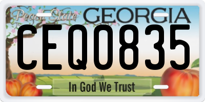 GA license plate CEQ0835